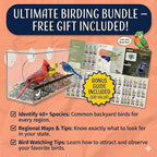 Window Bird Feeder by Nature’s Hangout - Image 8