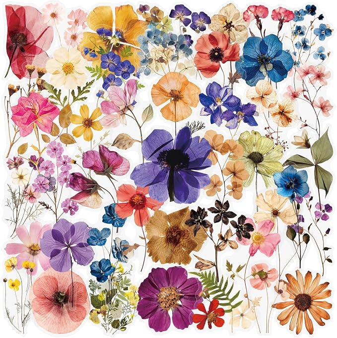 50 PCS Pressed Flowers Stickers Pack, Cute Waterproof PET Transparent Sticker by Unknown