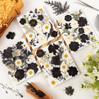 78 Pcs Black and White Dried Pressed Flowers - Image 3