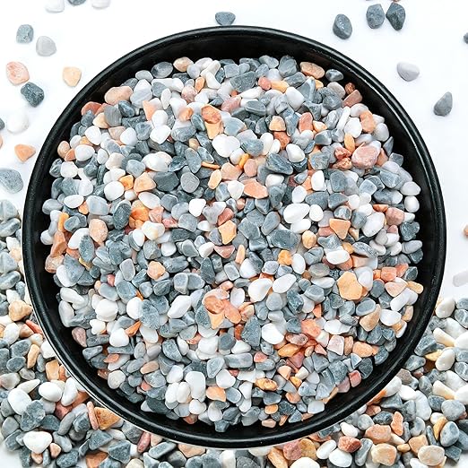 10 lb Mixed Color Pebbles for Plants, 1/5 Inch Decorative Rocks for Potted by RUOJAS