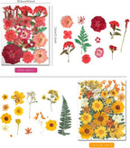 110+PCS Pressed Flowers for Resin, Colorful-B | Real Dried Flower Leaves - Image 2