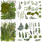 136Pcs Pressed Dried Leaves and Butterfly - Image 6