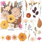 50pcs Boho Pressed Flowers Bulk, Vintage Dried Flower Leaves, Natural Fall - Image 2