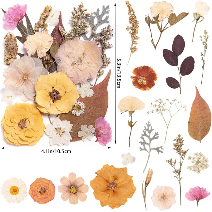 50pcs Boho Pressed Flowers Bulk, Vintage Dried Flower Leaves, Natural Fall - Image 2