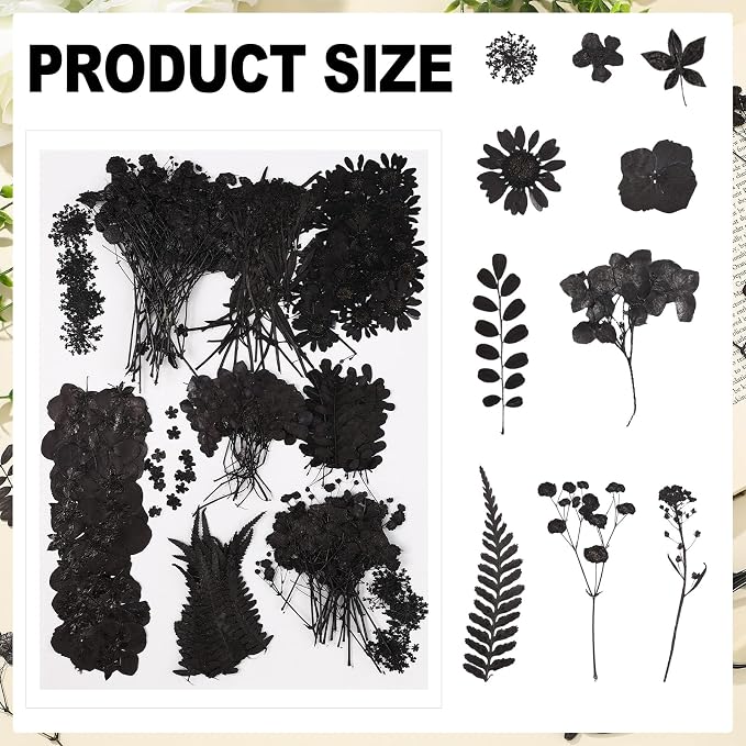 Fabbay 200 Pcs Dried Pressed Flowers Real Dry Natural Flower Leaf Dried Flowers - Image 3