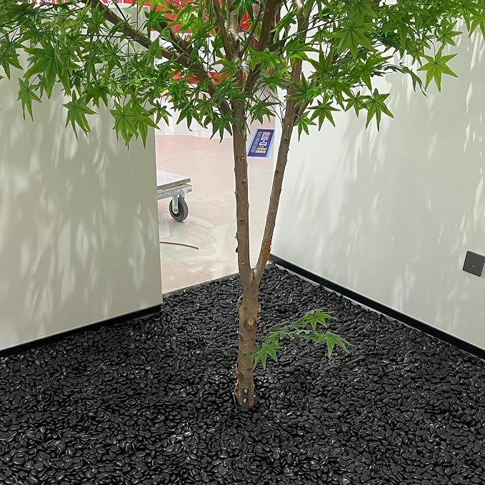 FANTIAN 5 lbs Black Pebbles for Indoor Plants, 1-2 Inch Decorative Black River - Image 9