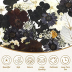 Augshy Black Dried Pressed Flowers, Scrapbooking, Soap Making - Image 4