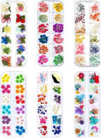 Dried Flowers for Nail Art Resin Jewelry Crafts by iFancer