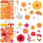 110Pcs Fall Dried Pressed Flowers - Image 2