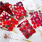 132Pcs Red Pressed Dried Flowers and Butterfly - Image 3