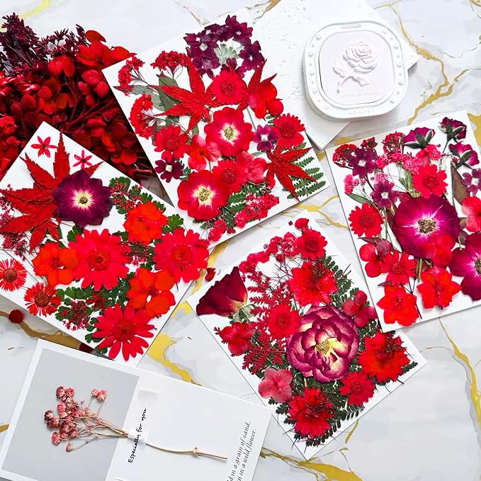132Pcs Red Pressed Dried Flowers and Butterfly - Image 3