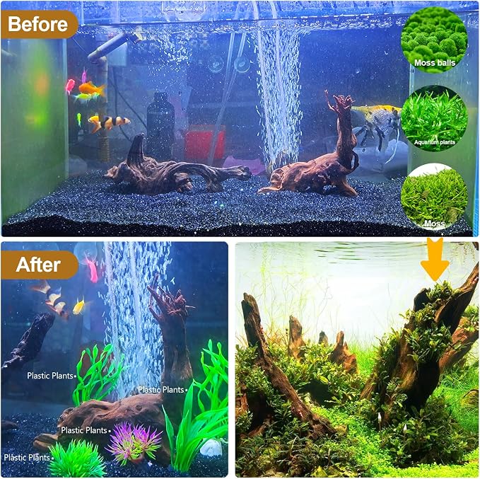 Natural Driftwood Decor for Aquarium Decorations Reptile Tank Accessories - Image 7