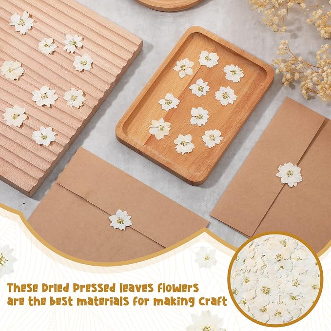 Woanger 100 pcs Dried Pressed Flowers Small Dry Flowers Real Natural Resin - Image 4