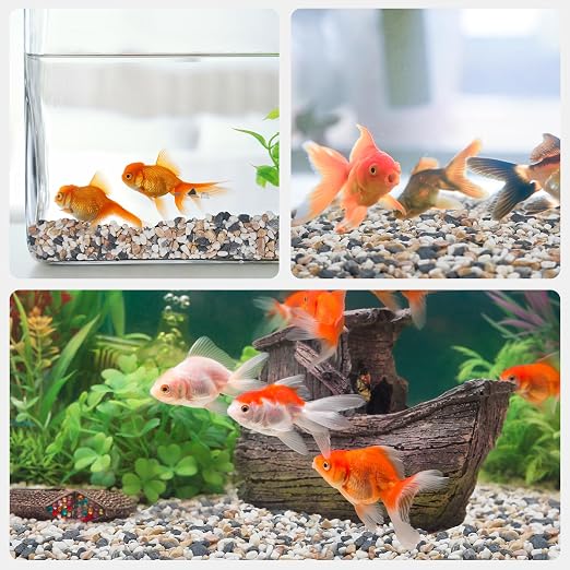 Pulovin 5 lbs Small Rocks for Plants, 1/5 Inch Pebbles for Indoor Plants - Image 7