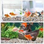 Pulovin 5 lbs Small Rocks for Plants, 1/5 Inch Pebbles for Indoor Plants - Image 7