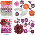 146pcs Dried Pressed Flowers for Crafts, Dried Flowers for Resin, Scrapbooking - Image 2