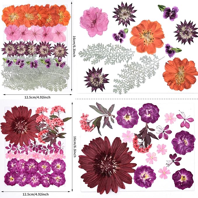 146pcs Dried Pressed Flowers for Crafts, Dried Flowers for Resin, Scrapbooking - Image 2