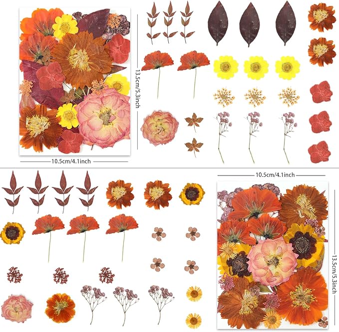 LUXEEASE 100P Autumn Dried Pressed Flowers, Warm Tone | Rust orange burgundy - Image 2