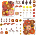 LUXEEASE 100P Autumn Dried Pressed Flowers, Warm Tone | Rust orange burgundy - Image 2