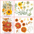 Nuanchu Dried Pressed Flowers Bulk - Image 4