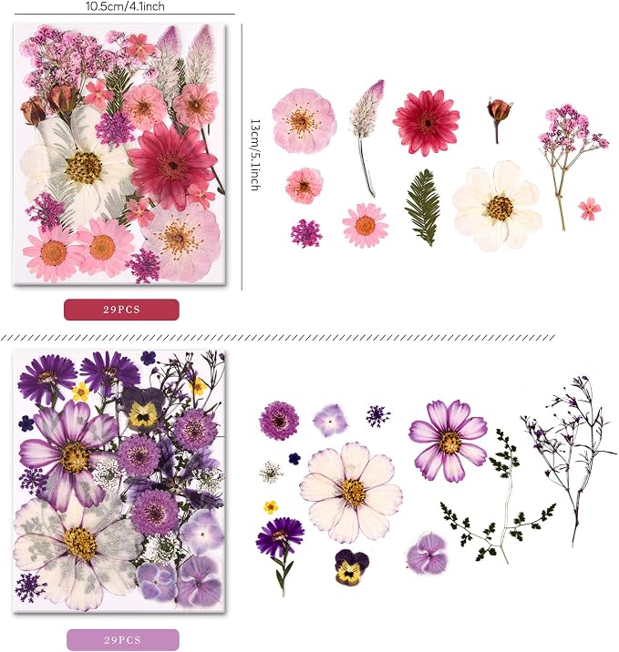 5 Packs of 140 Pressed Dried Flowers and Leaves - Image 3