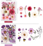 5 Packs of 140 Pressed Dried Flowers and Leaves - Image 3