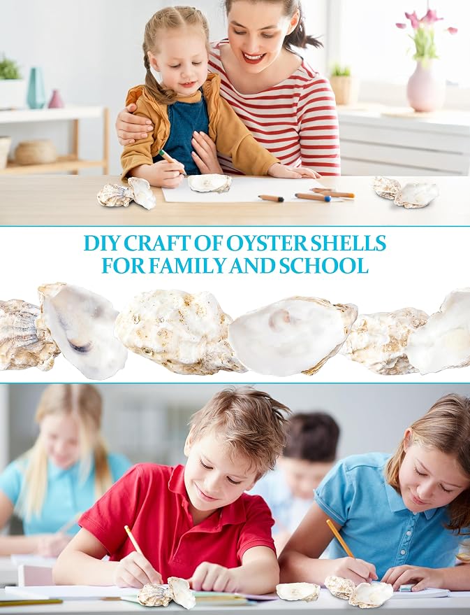 10Pcs Oyster Shells for Crafts， 4"-5" Large Oyster Shell for Crafts，Oyster - Image 2