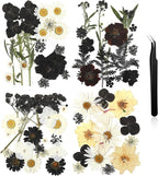 Nuanchu Black Dried Pressed Flowers by Nuanchu