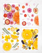 Resiners Dried Pressed Flowers for Resin Molds, Real Natural Dried Flowers Dry - Image 3
