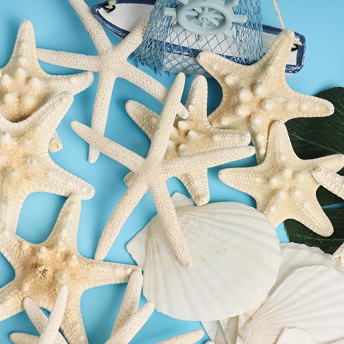 HAPYSHOOP 32 Pieces Starfish and Scallop Shells - Image 2