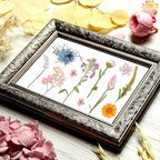 Nuanchu Dried Pressed Flowers for Crafts Resin Real Flat Natural Pressed Flowers - Image 6
