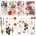 100 Pcs Dried Pressed Flowers, Real Natural Dried Wildflowers Leave by Ovveroche