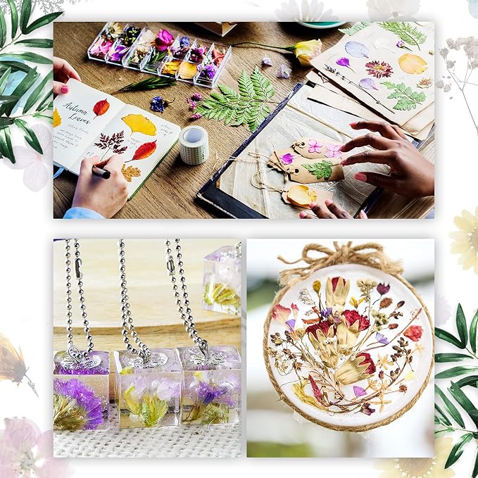 Nuanchu 200 Pcs Natural Dried Pressed Flowers and Leaves Resin Real Dried - Image 2