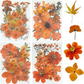 Woohome 4 Pack Dried Flowers for Resin Molds by Woohome