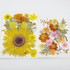 Woohome 44 PCS Orange Real Pressed Flowers, Dried Pressed Flowers - Image 8