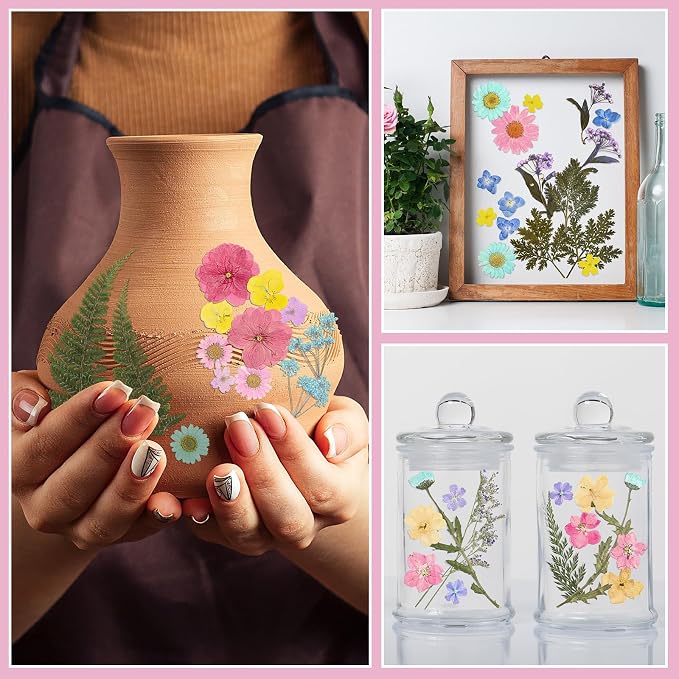 Nuanchu Pastel Dried Flower for Crafts Resin Pressed Flowers Bulk Real Dried - Image 6
