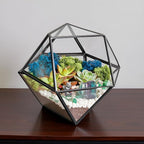 Creations by Nathalie DIY Geometric Glass Terrarium Kit - Image 7