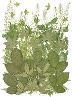 12“ Large Bulk Summer Dried Pressed Flowers by ZMRU