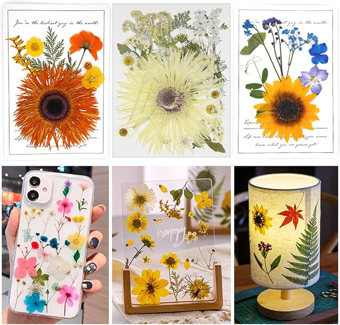 Woohome 44 PCS Pressed Flowers Natural Dried Flowers White Resin Flowers Real - Image 2