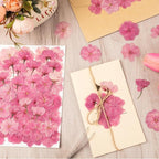 101 PCS Pressed Cherry Blossom for Crafts, Dried Sakura Flowers for Soap Candle - Image 7