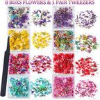 8 Boxs Dried Flowers for Nail Art, Colorful Mini Real Natural Flowers | Nail - Image 2