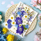 52 Pcs Blue Dried Pressed Flowers - Image 2