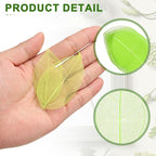 uxcell 100 Pcs Grass Green Skeleton Leaves - Image 3