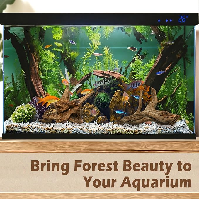 3PCS 8" Natural Driftwood for Aquarium & Reptile Tank, 7–8 Inches Unique Wood - Image 5