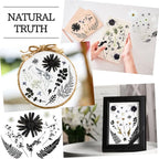 Nuanchu Black White Dried Pressed Flowers - Image 6