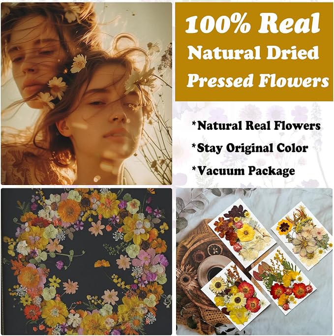 82Pcs Dried Pressed Flowers for Resin Molds, Real Vintage White Natural Bulk - Image 2