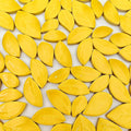500g/1.1lb Leaf-Shaped Ceramic Mosaic Tiles, Ceramic Mosaic Pieces by Unknown