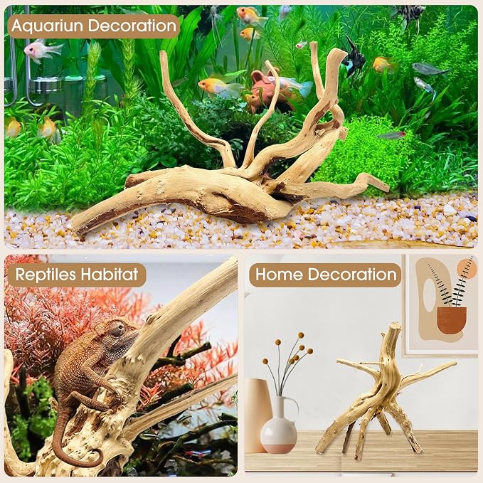 Jorewood Natural Large Spiderwood Driftwood - Image 4