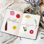 210 Pcs Dried Pressed Flowers for Resin, Dried Pressed Flowers for Crafts - Image 8