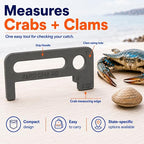 Crab Measurement Tool for MD Blue Crabs and Clams | Regulation Soft Shell - Image 4